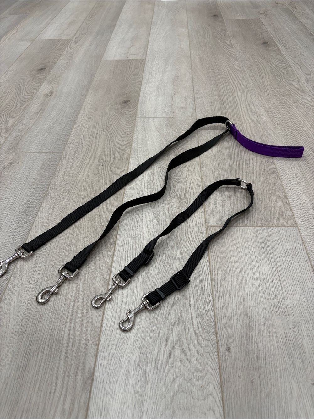 Adjustable Black Dog Multi-Clip Lead with Purple Handle